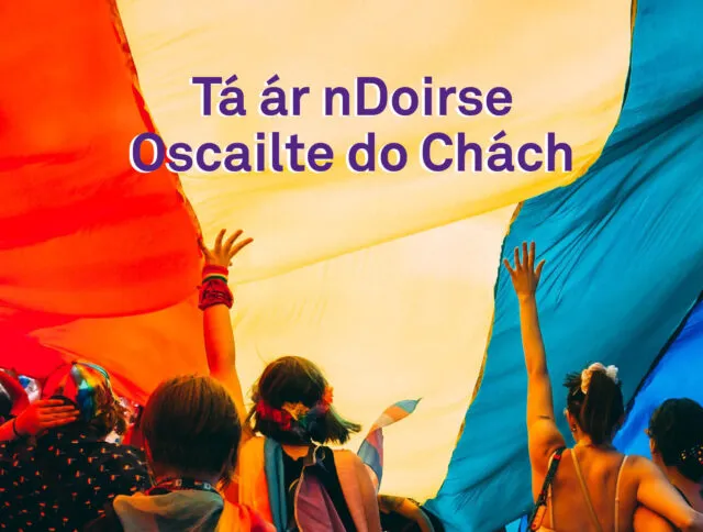 V2_Irish_TDLR_PrideCampaign_SubSlider_390x295px_2405242